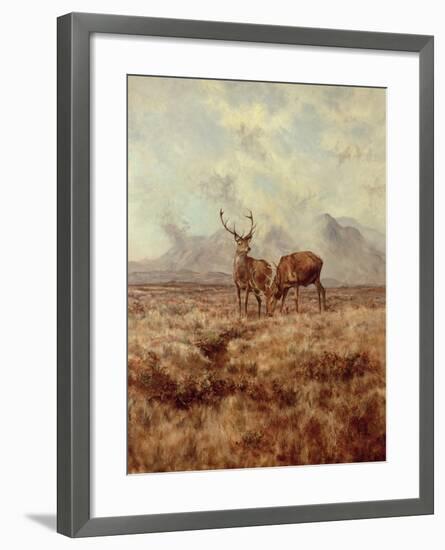 Red Stags, Ben Buie, 1982-Tim Scott Bolton-Framed Giclee Print