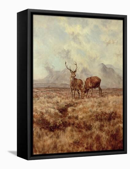 Red Stags, Ben Buie, 1982-Tim Scott Bolton-Framed Premier Image Canvas