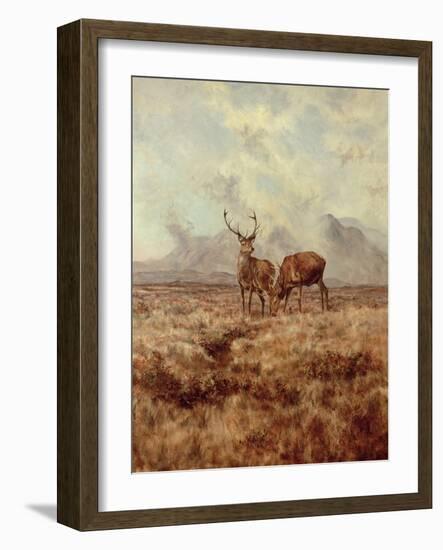 Red Stags, Ben Buie, 1982-Tim Scott Bolton-Framed Giclee Print