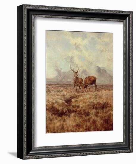 Red Stags, Ben Buie, 1982-Tim Scott Bolton-Framed Giclee Print