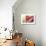 Red Stairway-Douglas Steakley-Giclee Print displayed on a wall