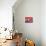 Red Still Life with Chinese Lantern-Ann Oram-Giclee Print displayed on a wall