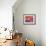 Red Still Life with Chinese Lantern-Ann Oram-Framed Giclee Print displayed on a wall