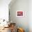 Red Still Life with Chinese Lantern-Ann Oram-Framed Giclee Print displayed on a wall