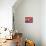 Red Still Life with Chinese Lantern-Ann Oram-Mounted Giclee Print displayed on a wall