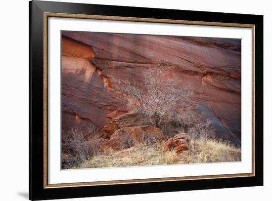 Red Stone-Andrew Geiger-Framed Giclee Print