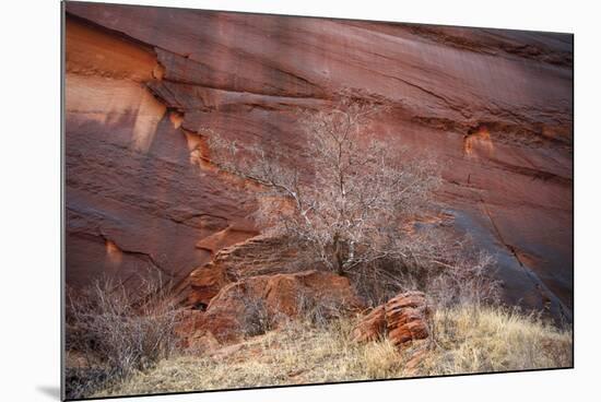 Red Stone-Andrew Geiger-Mounted Giclee Print