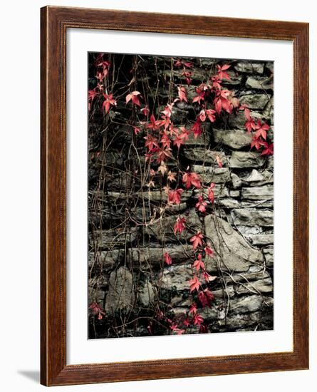 Red Stone-Clive Nolan-Framed Photographic Print