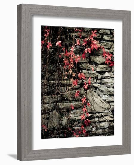 Red Stone-Clive Nolan-Framed Photographic Print