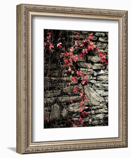 Red Stone-Clive Nolan-Framed Photographic Print