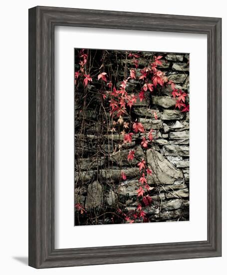 Red Stone-Clive Nolan-Framed Photographic Print