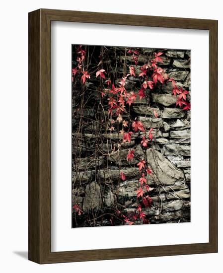 Red Stone-Clive Nolan-Framed Photographic Print