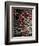 Red Stone-Clive Nolan-Framed Photographic Print