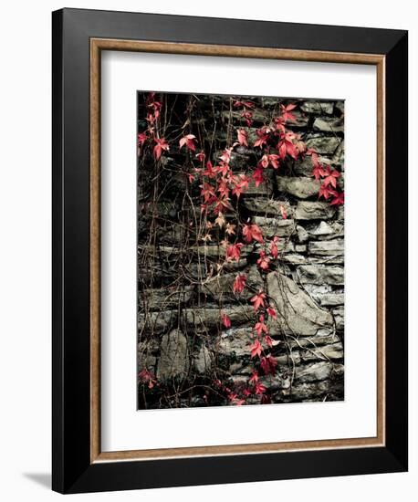 Red Stone-Clive Nolan-Framed Photographic Print