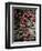 Red Stone-Clive Nolan-Framed Photographic Print