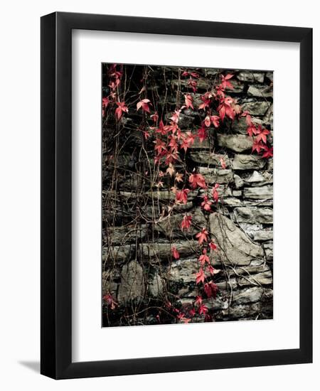 Red Stone-Clive Nolan-Framed Photographic Print