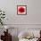 Red Summer Petals-Katja Marzahn-Framed Giclee Print displayed on a wall