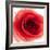 Red Summer Petals-Katja Marzahn-Framed Giclee Print