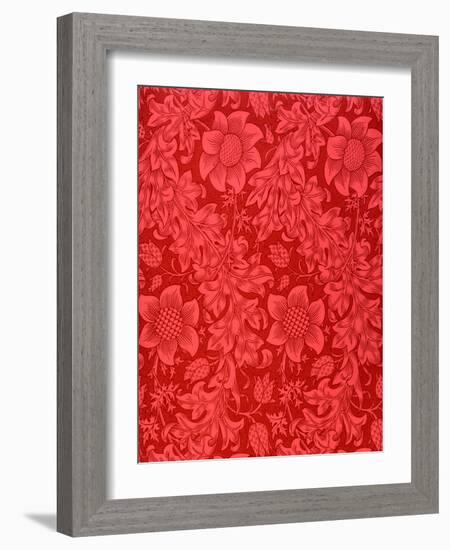 Red Sunflower Wallpaper Design, 1879 (Colour Woodblock Print on Paper)-William Morris-Framed Giclee Print