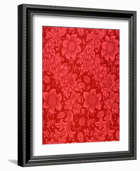 Red Sunflower Wallpaper Design, 1879 (Colour Woodblock Print on Paper)-William Morris-Framed Giclee Print