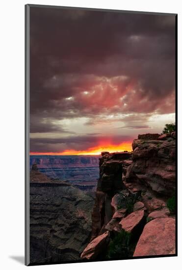 Red sunset with moody clouds and red rock canyons in Dead Horse Point State Park near Moab, Utah-David Chang-Mounted Premium Photographic Print
