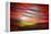 Red Sunset-Ursula Abresch-Framed Premier Image Canvas