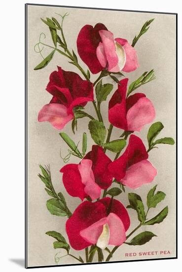 Red Sweet Peas-null-Mounted Art Print