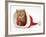 Red Tabby Kitten in a Father Christmas Hat-Jane Burton-Framed Photographic Print