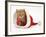 Red Tabby Kitten in a Father Christmas Hat-Jane Burton-Framed Photographic Print