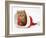 Red Tabby Kitten in a Father Christmas Hat-Jane Burton-Framed Photographic Print