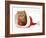 Red Tabby Kitten in a Father Christmas Hat-Jane Burton-Framed Photographic Print