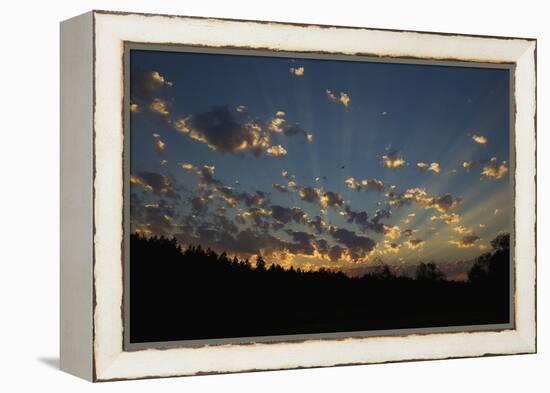 Red-Tail Hawk Sunset-Ken Archer-Framed Premier Image Canvas