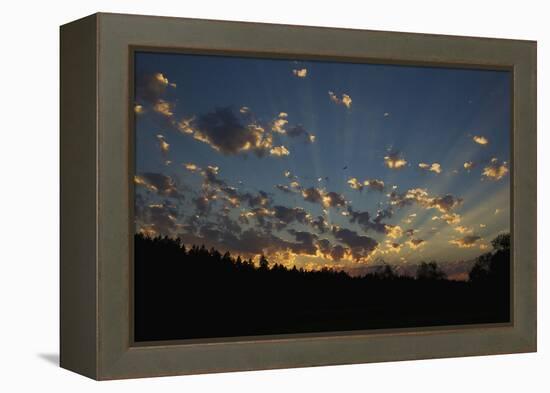Red-Tail Hawk Sunset-Ken Archer-Framed Premier Image Canvas