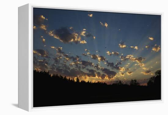 Red-Tail Hawk Sunset-Ken Archer-Framed Premier Image Canvas