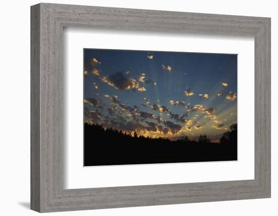 Red-Tail Hawk Sunset-Ken Archer-Framed Photographic Print