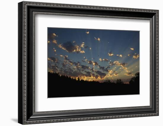 Red-Tail Hawk Sunset-Ken Archer-Framed Photographic Print