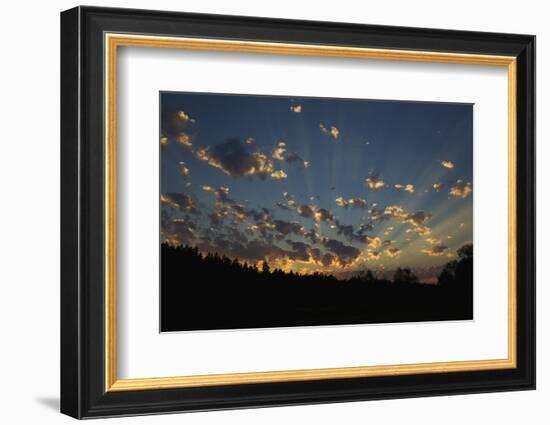 Red-Tail Hawk Sunset-Ken Archer-Framed Photographic Print