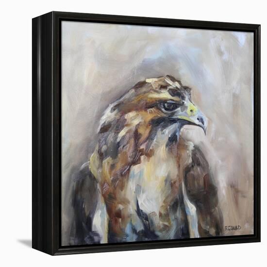 Red Tail Hawk-Renee Gould-Framed Premier Image Canvas