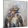 Red Tail Hawk-Renee Gould-Mounted Giclee Print
