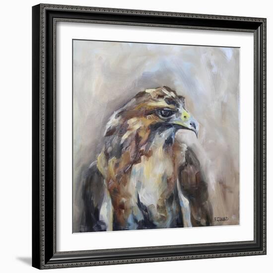 Red Tail Hawk-Renee Gould-Framed Giclee Print
