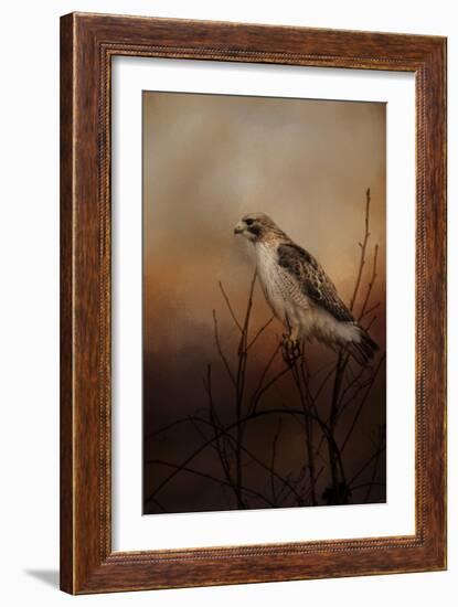 Red Tail in Wait-Jai Johnson-Framed Giclee Print