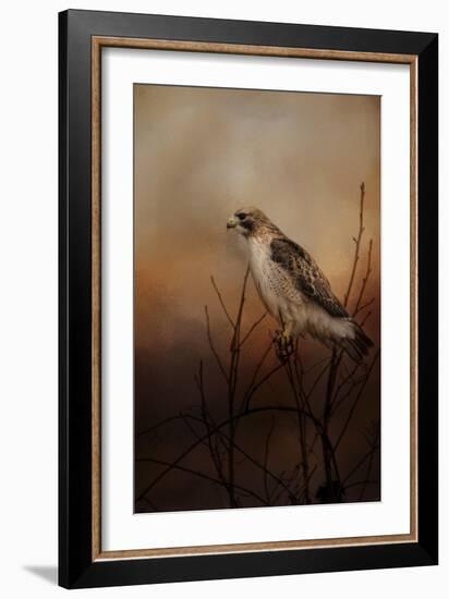 Red Tail in Wait-Jai Johnson-Framed Giclee Print