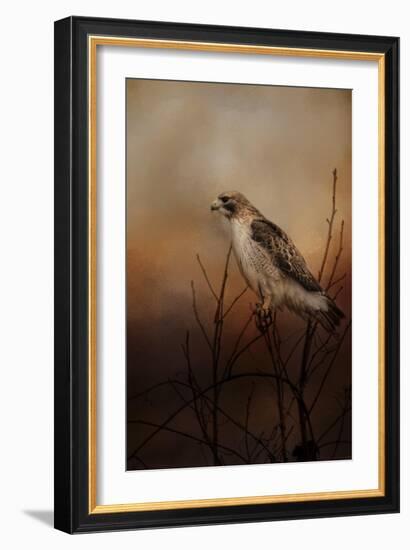 Red Tail in Wait-Jai Johnson-Framed Giclee Print