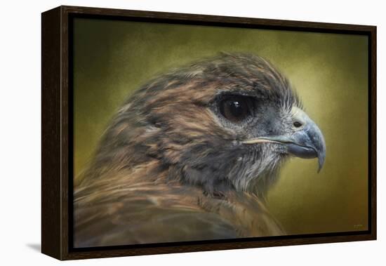 Red Tailed Hawk at Reelfoot-Jai Johnson-Framed Premier Image Canvas