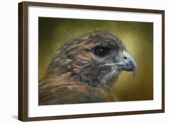 Red Tailed Hawk at Reelfoot-Jai Johnson-Framed Giclee Print