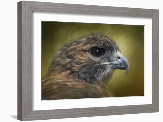 Red Tailed Hawk at Reelfoot-Jai Johnson-Framed Giclee Print