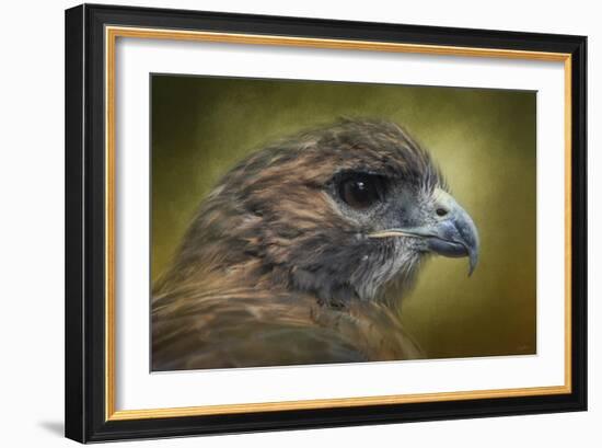 Red Tailed Hawk at Reelfoot-Jai Johnson-Framed Giclee Print