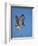 Red-Tailed Hawk (Buteo Jamaicensis) Taking Off-James Hager-Framed Photographic Print