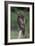 Red-Tailed Hawk Perches on Post-W^ Perry Conway-Framed Premium Photographic Print