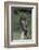 Red-Tailed Hawk Perches on Post-W^ Perry Conway-Framed Photographic Print